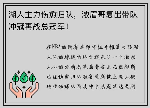 湖人主力伤愈归队，浓眉哥复出带队冲冠再战总冠军！